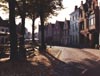 Cafe, Trees, Street, Brussles, Belguim