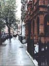 London Street & Trees, England