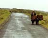 Man with Donkey, Ireland