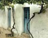 Grapevine, Two Blue Doors, Portugal