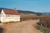 Clos de Beze, Burgundy, France