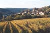 Vineyard, Pernard-Vergelesses, Burgundy, France