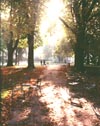 Two Figures in Park, Paris, France