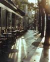 Boulevard in Morning, Paris, France