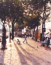 Children Playing, Paris, France