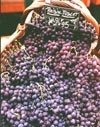 Grapes in Basket, Paris, France