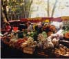 Marketplace, Aix-en-Provence, France