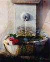 Roses & Fountain, Provence, France