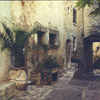 Plants & Vases, Provence, France