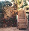 Steps & Flowers, Provence, France