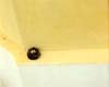 Black Stone, Yellow Wall, Santorini, Greece