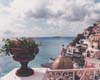 Positano, Plant, Italy