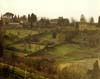 Florence Hillside, Italy