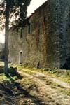 Monastary and Tree, Tuscany, Italy