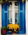 Yellow Flowers, Blue Shutters, Mykonos, Greece