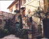 House & Flowers, Assisi, Italy