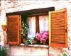 Shutters & Flowers, Florence, Italy