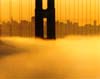 Golden Gate, One Tower, San Francisco
