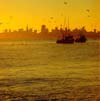 Herring Boats, San Francisco