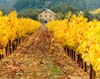 Vineyard, Stone Building, Napa Valley, California