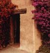 Bouganvillea, Carmel, California