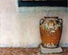 Vase, Petals, Santa Barbara, California